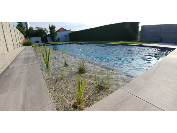 Bild 22 von Schwimmteich & Gartengestaltung Matheis KG