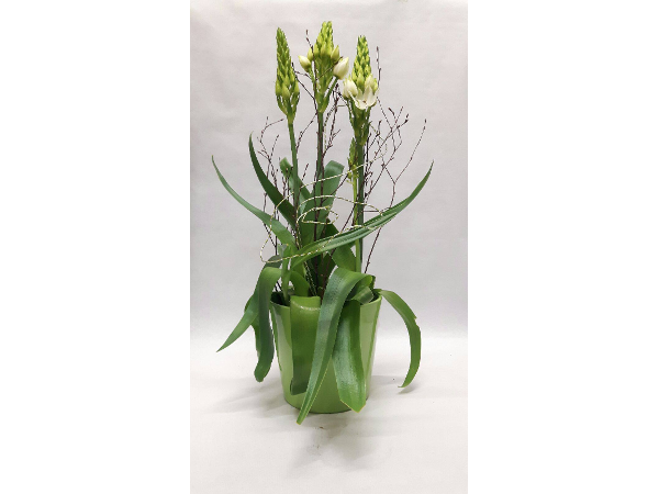 Bild 11 von Blumen Claudia