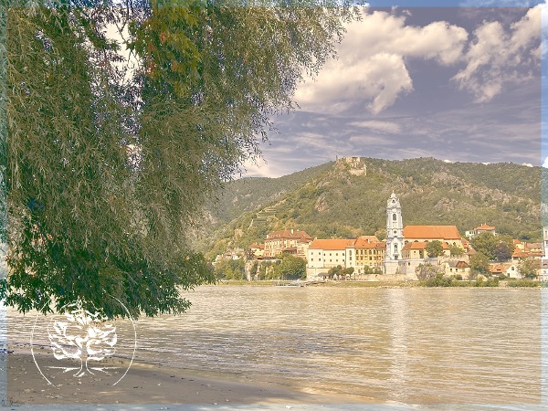 Bild 5 von Matsya Yoga