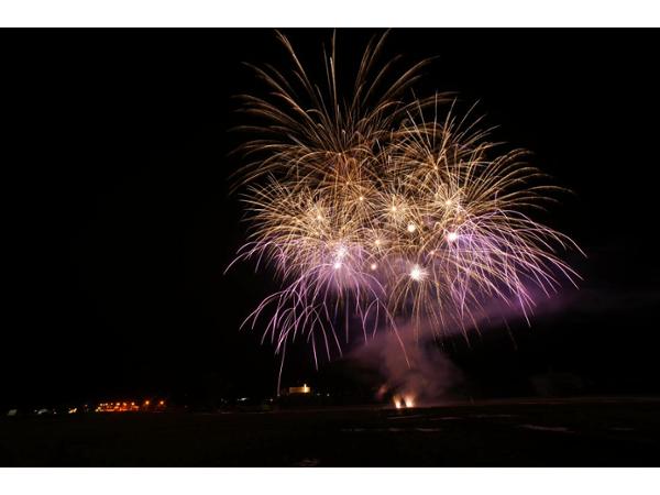 Bild 7 von Fire Flower Feuerwerkskunst