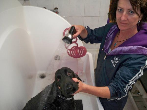 Bild 2 von Judy's Dog Corner - Hundesalon