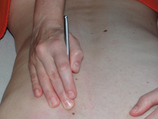 Bild 5 von STAATL. GEPR. MASSEURIN PICHLER GABRIELE