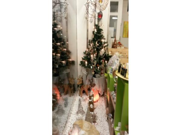 Bild 3 von Nuria Inh. Gerlinde Meixner