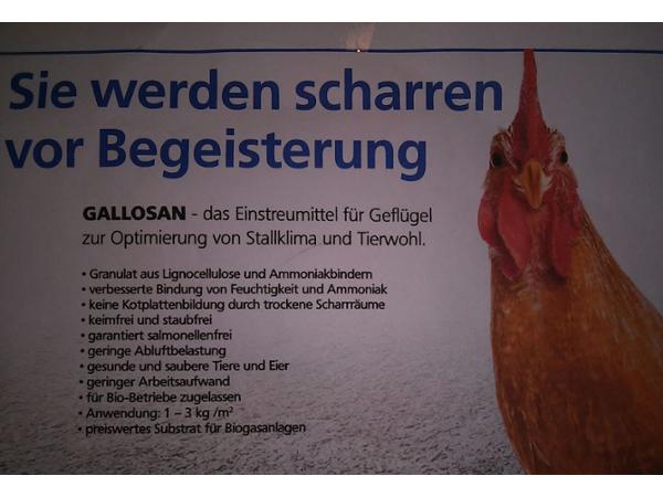 Bild 1 von KP Wood Energy GmbH - Kärntner Pellets Löwenstark