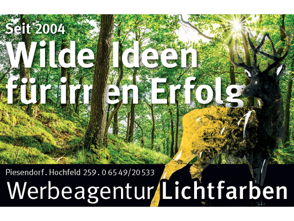 Bild 1 von Werbeagentur Lichtfarben e.U.