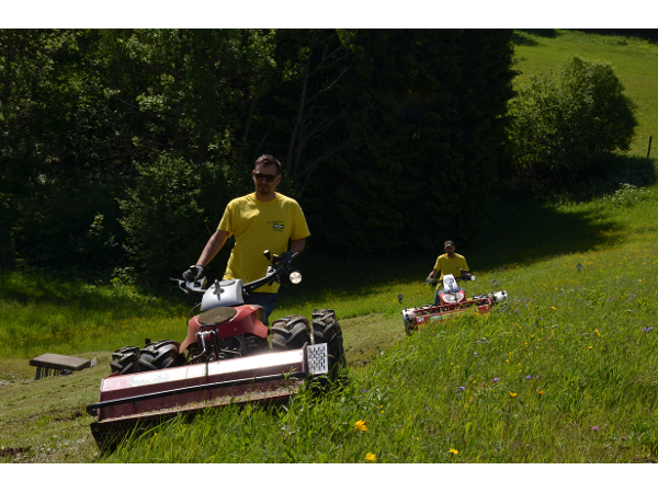 Bild 6 von WODL Landschaftspflege