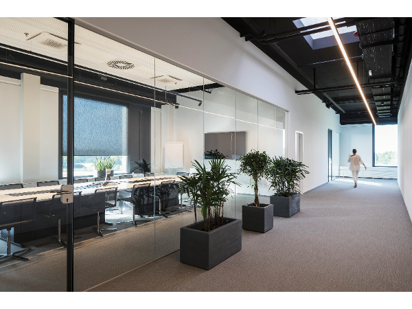 Bild 3 von Molto Luce GmbH
