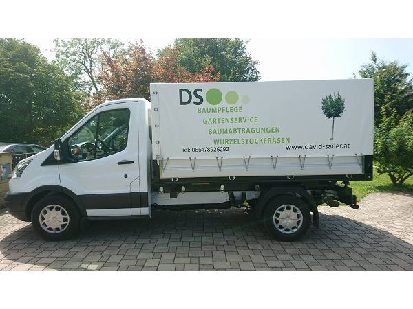 Bild 1 von David Sailer Baum- und Gartenservice