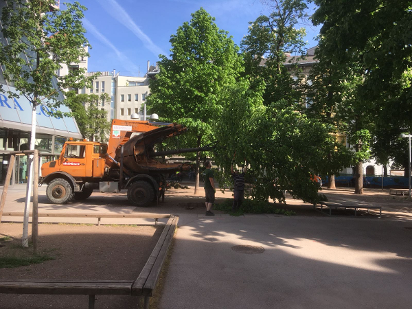 Bild 27 von Steinbauer Garten- und Landschaftsgestaltung GmbH