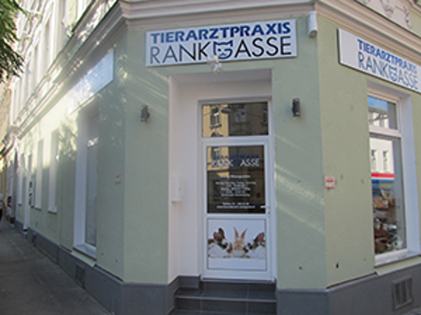 Bild 10 von Tierarztpraxis Rankgasse Mag. med. vet. Nina Brabetz