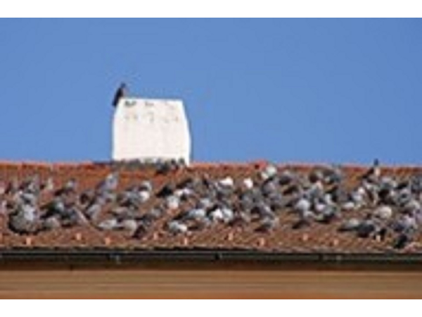Bild 3 von Abacus Hygiene-Service e.U.