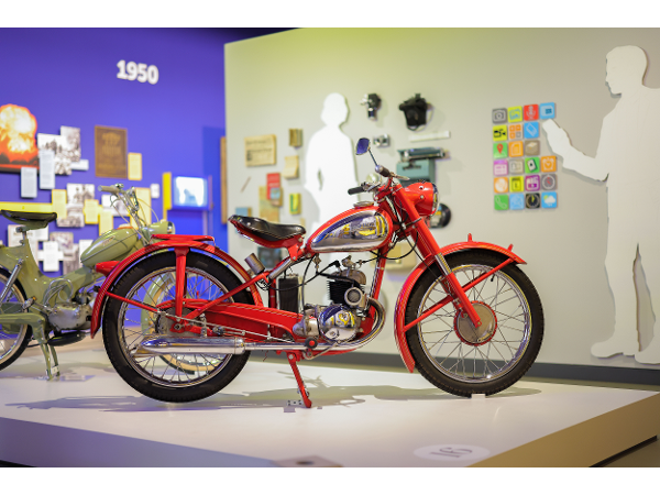 Bild 8 von Museum Niederösterreich - NÖ Museum BetriebsgmbH