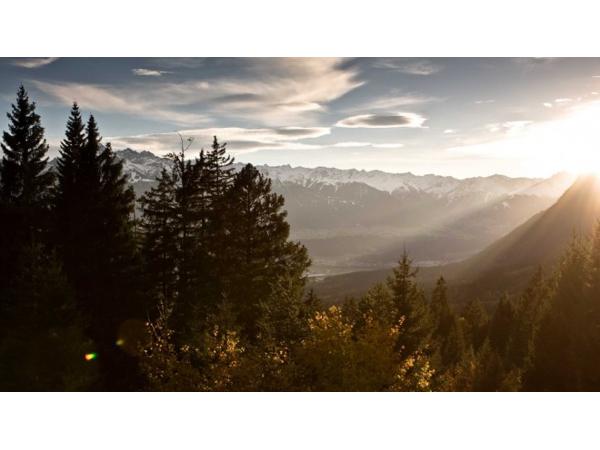 Bild 1 von Rumeralm - Elisabeth Mair