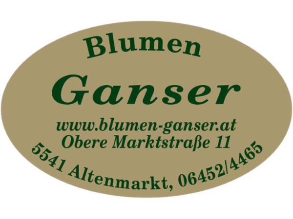 Bild 1 von Blumen Ganser & Partner GmbH