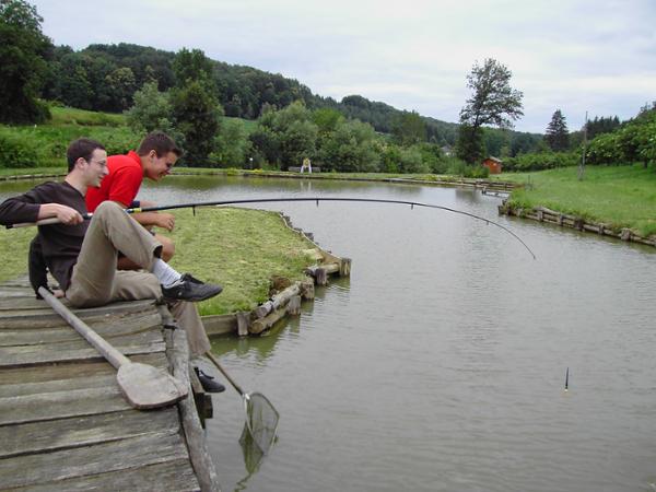 Bild 5 von Urlaub am Bauernhof Anna & Martin Grain