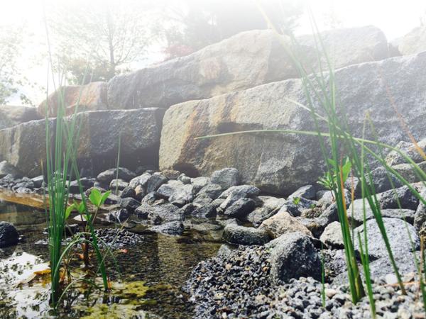 Bild 1 von Hornung Garten- u Landschaftsbau
