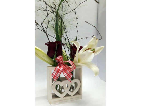 Bild 13 von Blumen Claudia