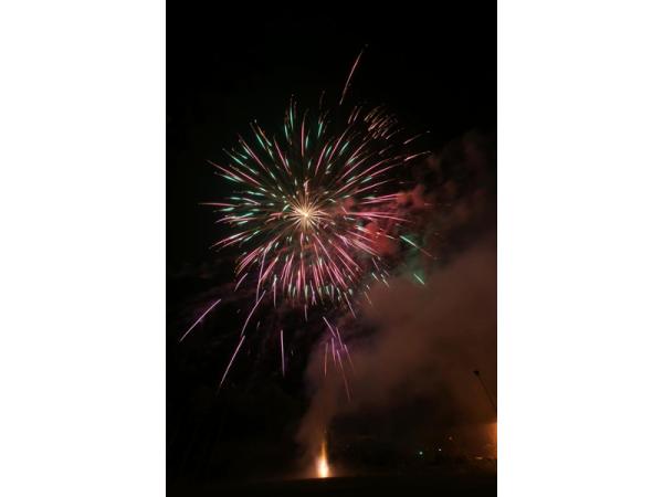 Bild 9 von Fire Flower Feuerwerkskunst