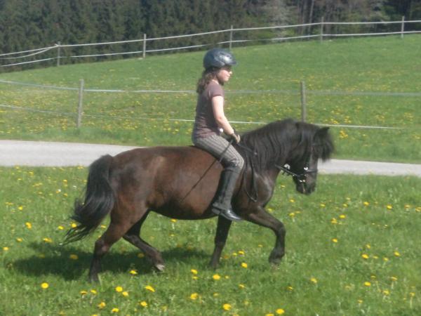 Bild 1 von Reitanlage Königmairgut