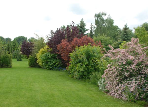 Bild 1 von Gartengestaltung Hertl e.U.