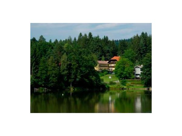 Bild 3 von Pension Lanzer