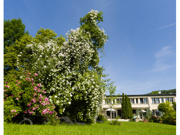 Bild 4 von Landhaus Hindenburg