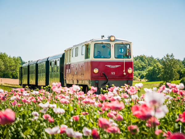 Bild 3 von Waldviertelbahn