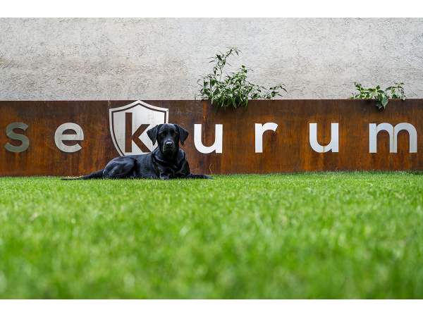 Bild 27 von SEKURUM GmbH