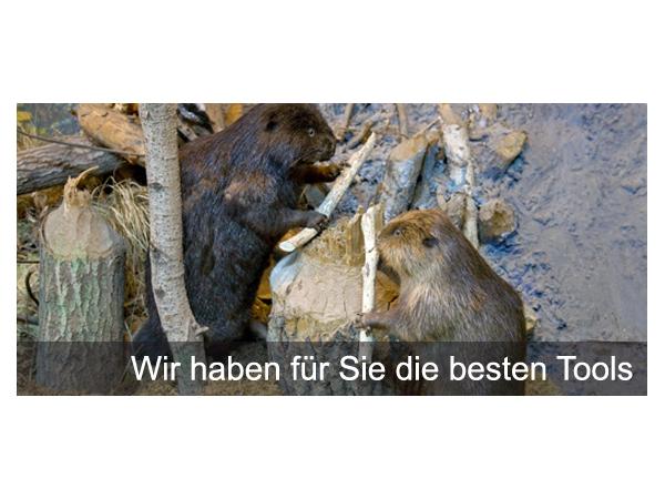 Bild 3 von Personal-Basis Management GmbH