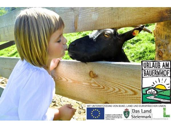 Bild 1 von Landesverband Urlaub am Bauernhof Steiermark