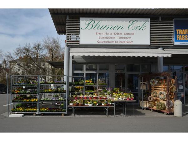 Bild 4 von Blumen Eck