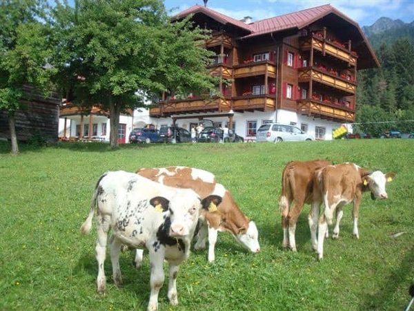 Bild 1 von Pension Peterbauerhof