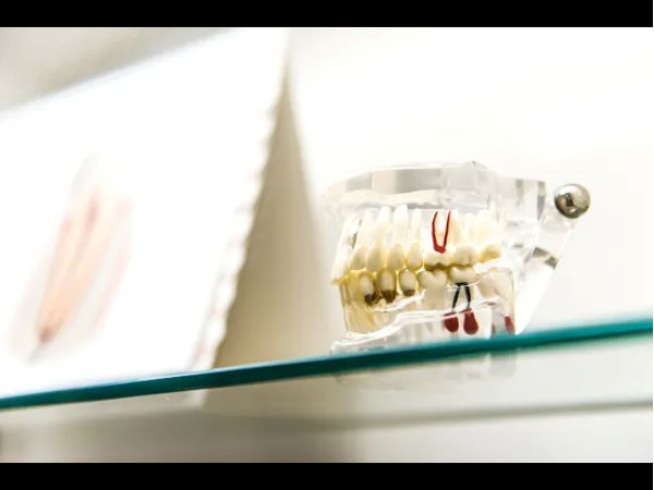 Bild 57 von Zahnarztpraxis Dr. Philipp Kaiser MMSc LLM & Kollegen