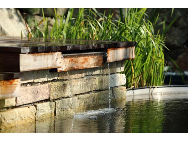 Bild 6 von Zemann Garten GmbH