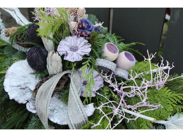 Bild 50 von Gartenbau-Blumen Helmut Friedl