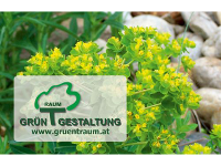 Grüntraum Gartengestaltung - DI Wawruschka Monika