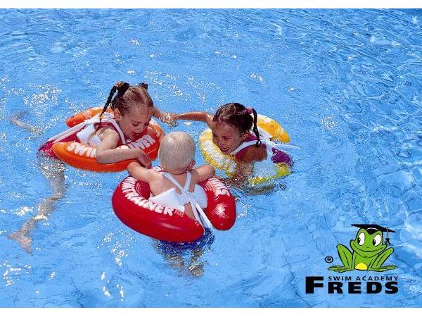 Bild 5 von FREDS SWIM ACADEMY