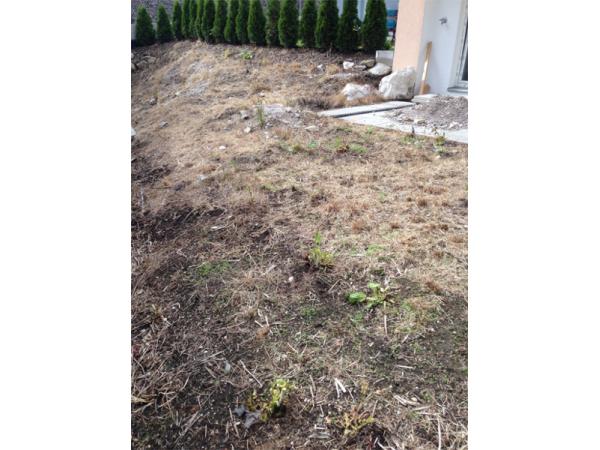 Bild 20 von Gartenmeister24 - Wolfgang Khanna