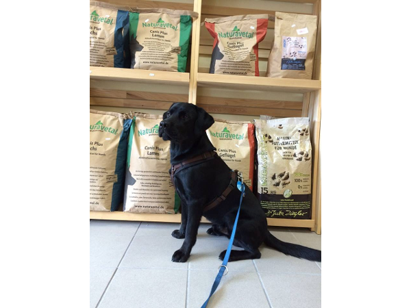 Bild 4 von hundertpro HUND Shop Katrin Priller