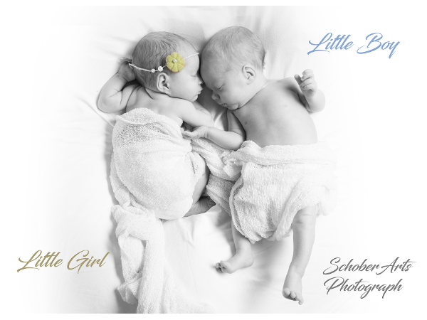 Bild 2 von Schober Arts-Photograph - Silvia Schober