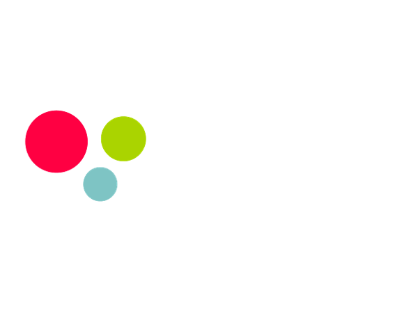 Bild 1 von RIS GmbH