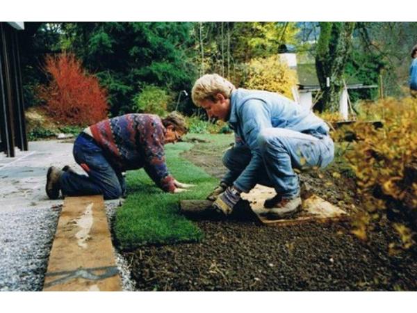 Bild 4 von Bischof Alexander - Gartenpflege & Grabpflege