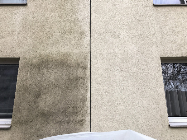 Bild 6 von Algenmax GmbH - Fassadenreinigung