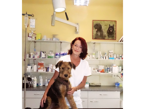 Bild 5 von Dr. Susanne Schüller