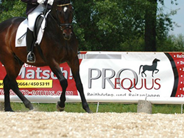 Bild 13 von Pro Equus - Reitplatz, Paddock & Stallbedarf