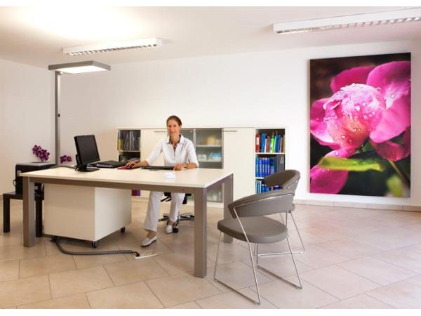 Bild 7 von Dr. Susanne Scholz