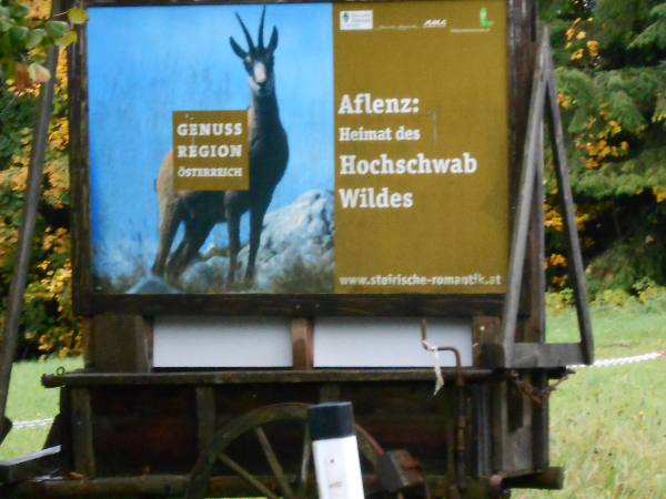 Bild 4 von Pension Gierlinger