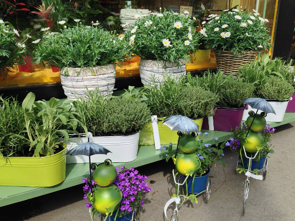 Bild 13 von Blumen Schuster in Meidling - Christine Schuster