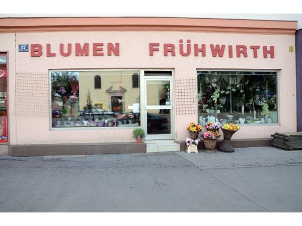 Bild 1 von Frühwirth Bettina