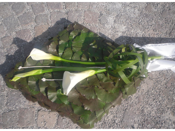 Bild 10 von Blumen Neuner